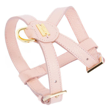 Pupet Couture - pettorina aurora