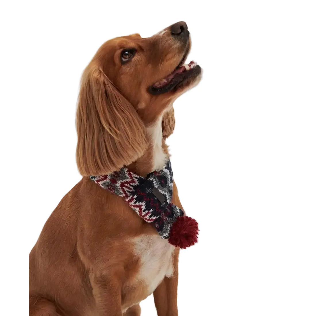 Barbour - Sciarpa per cani con fantasia Fair Isle