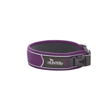 Collari Divo Viola e Grigio