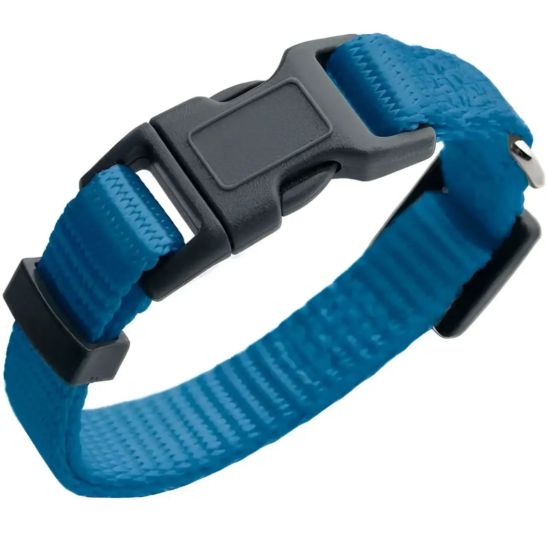 Collari London Azzurro