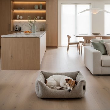 Divanetto TeddyNest