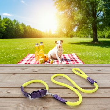 Sailing Line set in Corda Giallo & Viola