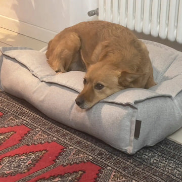 Dog Bed Elegance