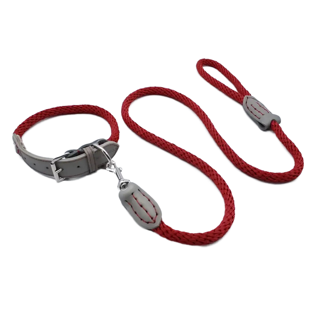 Sailing Line set in Corda Bordeaux & Mercurio