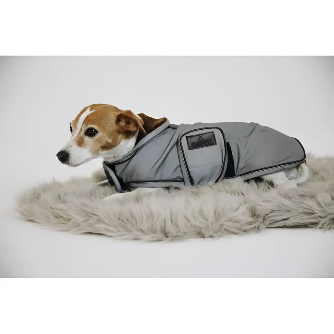 Kentucky - Cappotto per cani riflettente