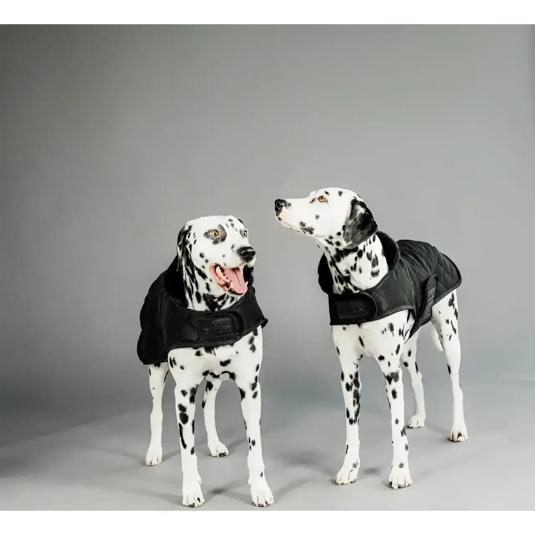 Kentucky - Cappotto Original Black