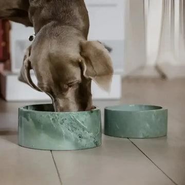 Kentucky - Ciotola per cani in marmo