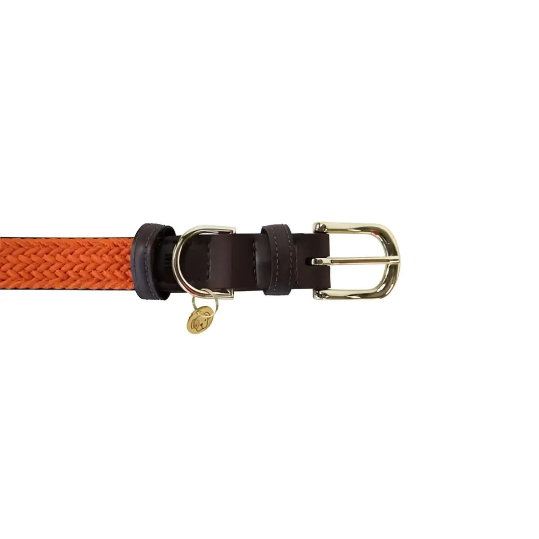 Kentucky - Collare per cani in nylon intrecciato Arancione
