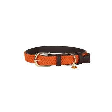 Kentucky - Collare per cani in nylon intrecciato Arancione