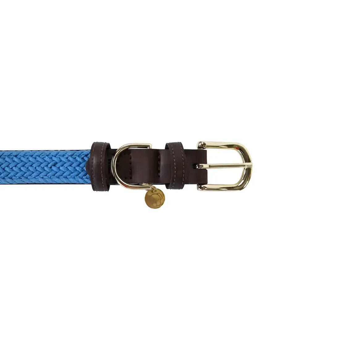 Kentucky - Collare per cani in nylon intrecciato Azzurro