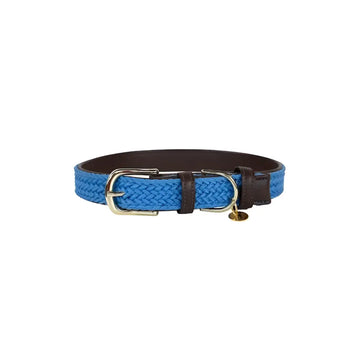 Kentucky - Collare per cani in nylon intrecciato Azzurro