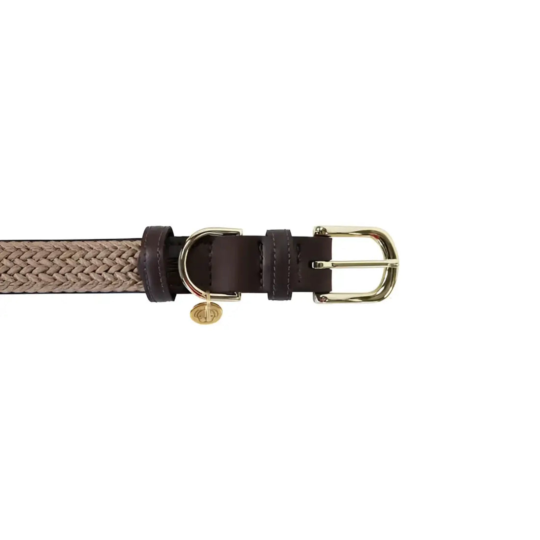 Kentucky - Collare per cani in nylon intrecciato Beige