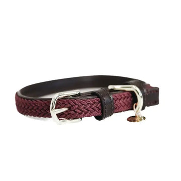 Kentucky - Collare per cani in nylon intrecciato Bordeaux
