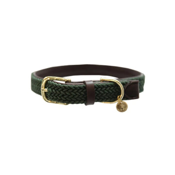 Kentucky - Collare per cani in nylon intrecciato Verde Oliva