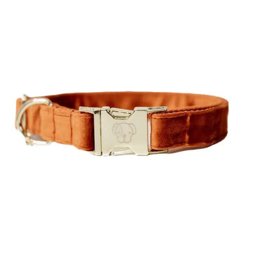 Kentucky - Collare per cani Velvet Arancione