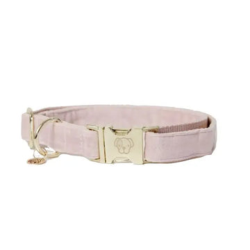Kentucky - Collare per cani Velvet Rosa Antico