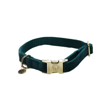 Kentucky - Collare per cani Velvet Smeraldo