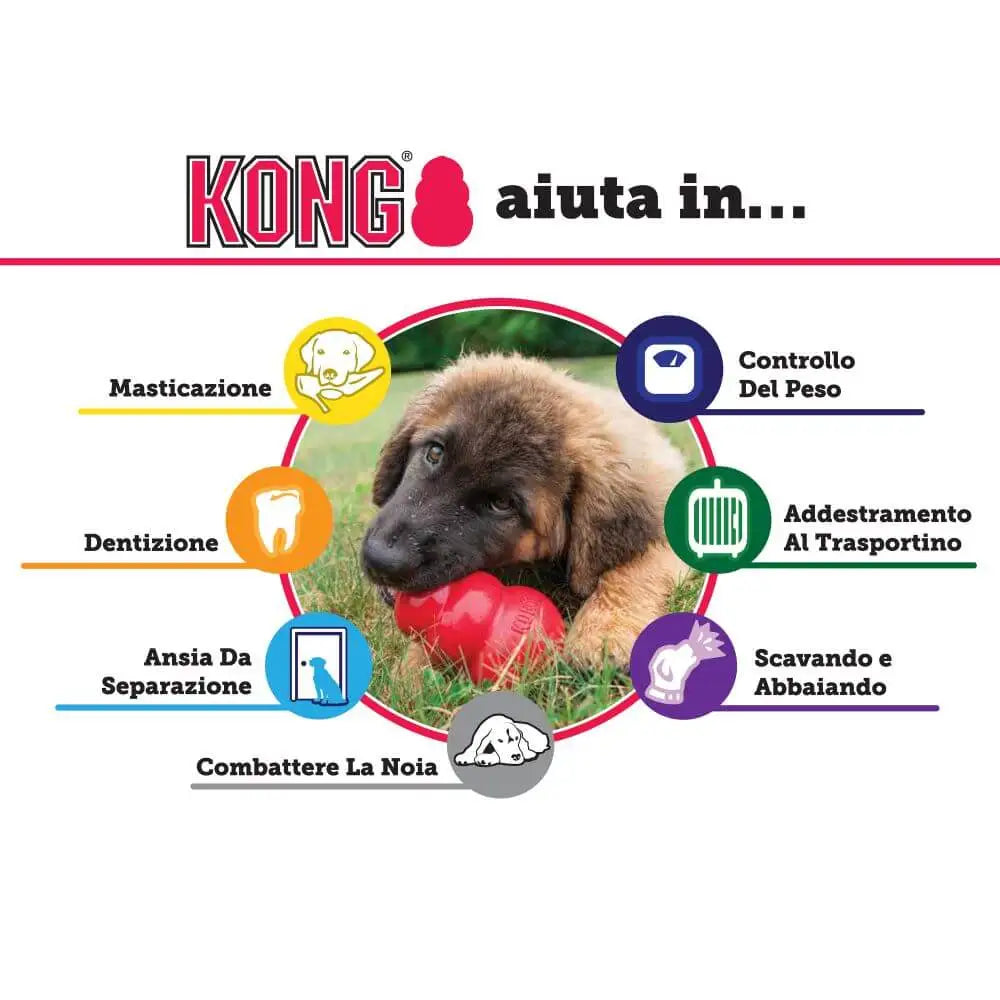 Kong Classic