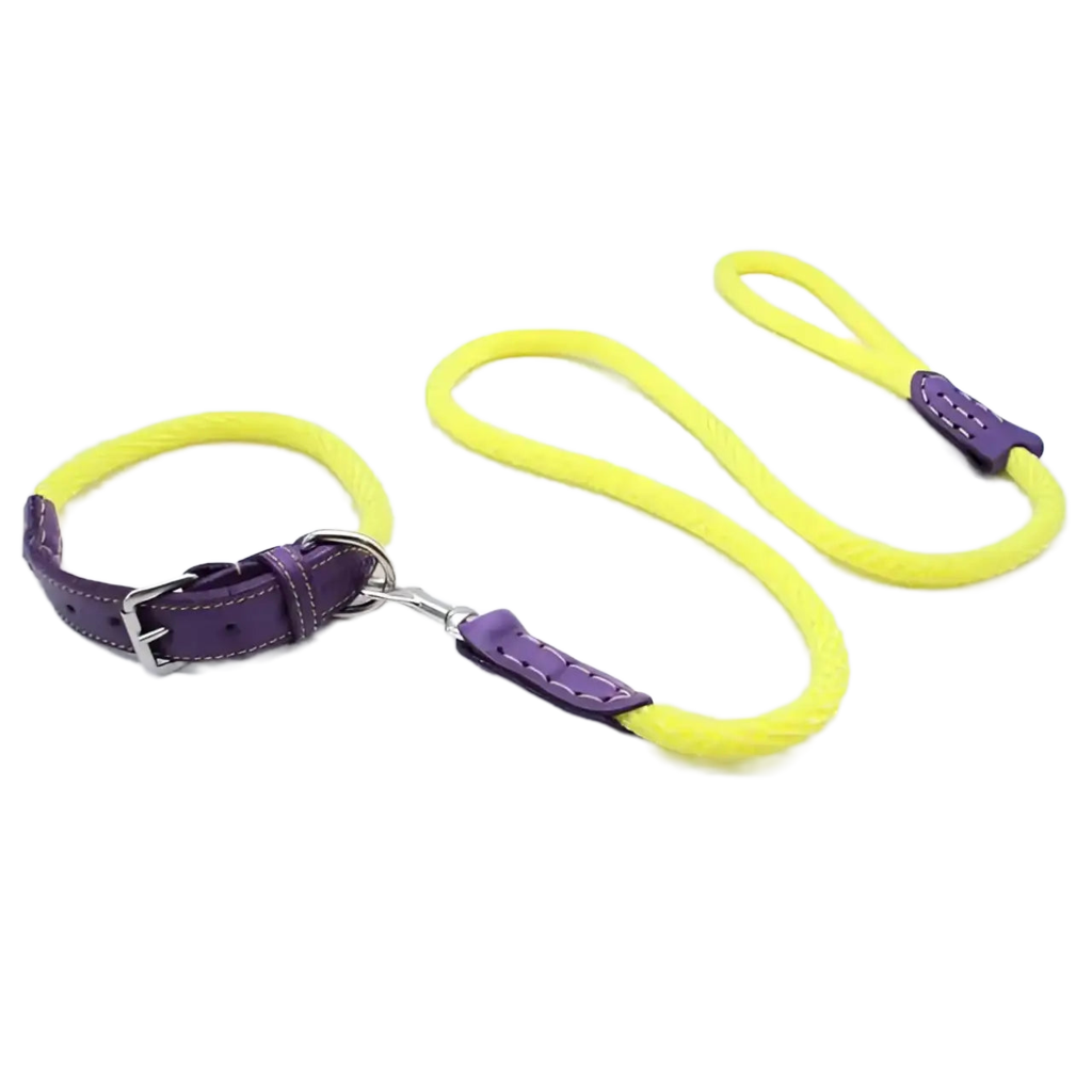 Sailing Line set in Corda Giallo & Viola