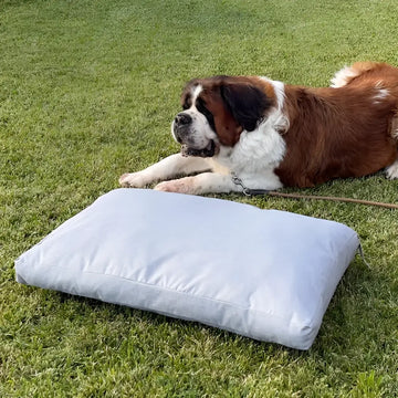 Materassino Dog Bed Easy Way