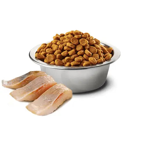 Farmina Cat N&D Ocean Aringa e Arancia Neutered