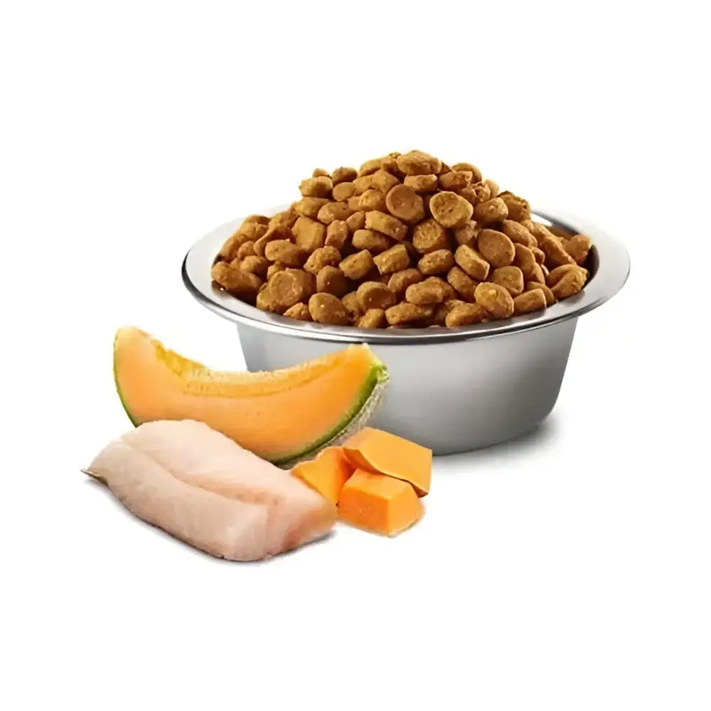 Farmina Dog N&D Ocean Merluzzo, Zucca e Melone Puppy Mini