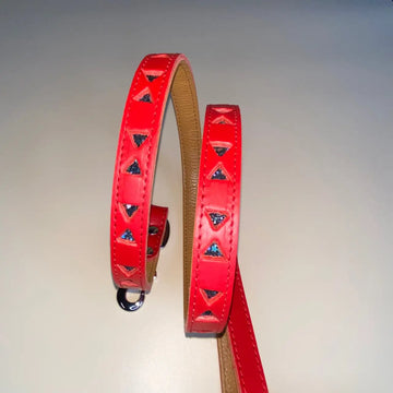 Pet Boutique - Guinzaglio Linea Miami