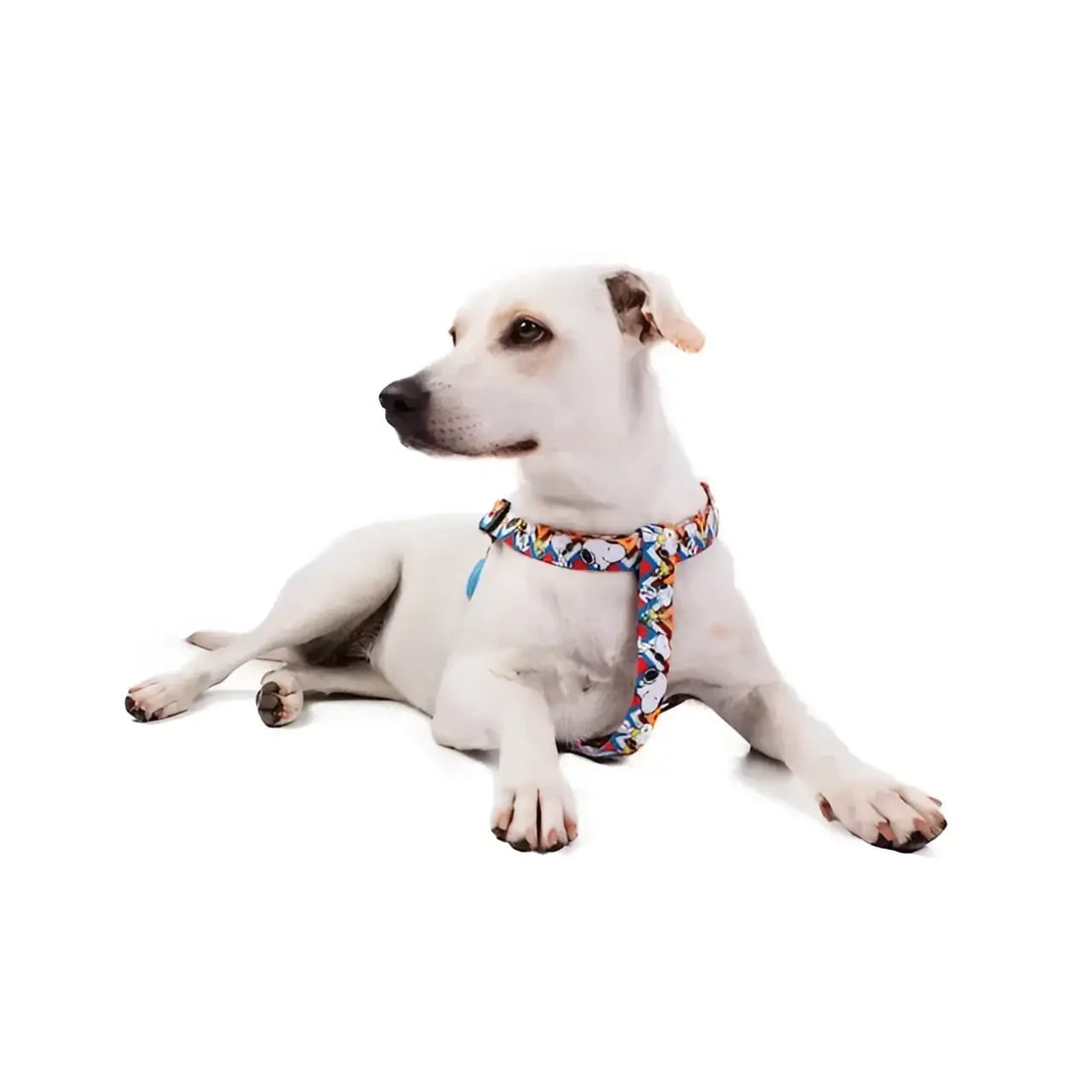 Pettorine  Charlie Brown Zig Zag