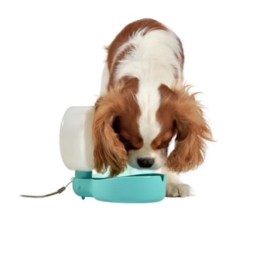 United Pets Pingui Borraccia compatta per cani