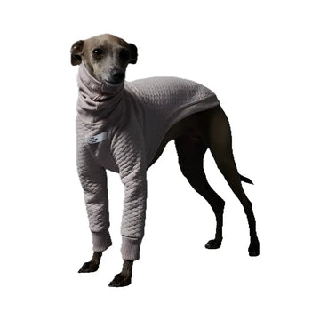 The Striped Dog - California