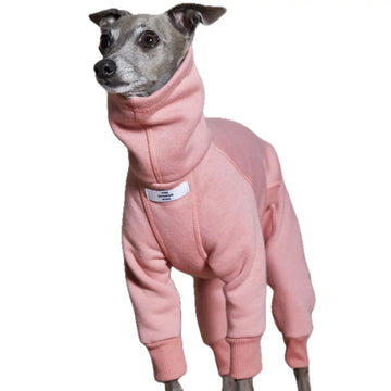 The Striped Dog - Riverside Rosa