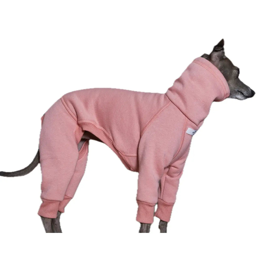 The Striped Dog - Riverside Rosa