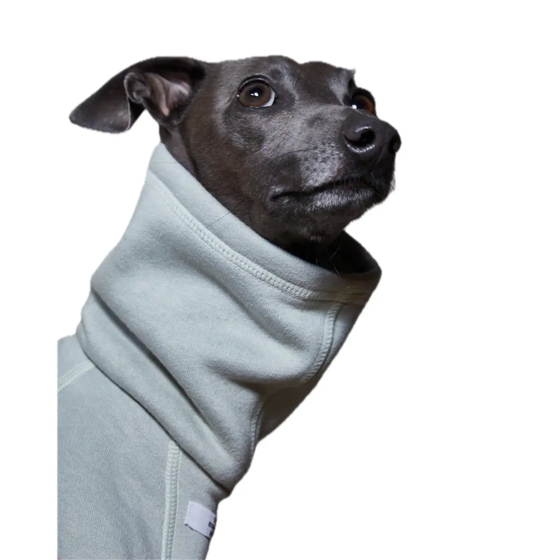 The Striped Dog - Riverside Verde Menta