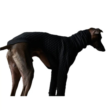The Striped Dog - Rodeo