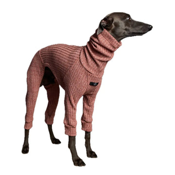 The Striped Dog - Santa Monica