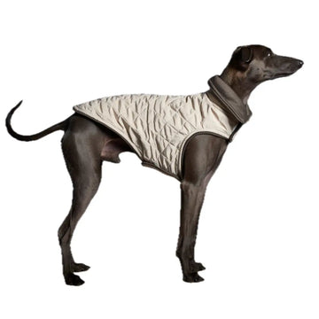The Striped Dog - Sunset Crema