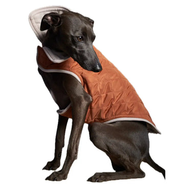 The Striped Dog - Sunset Terracotta