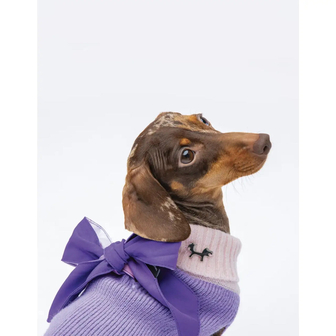 United Pets - Complete Me - Dolcevita Warmy Viola/rosa