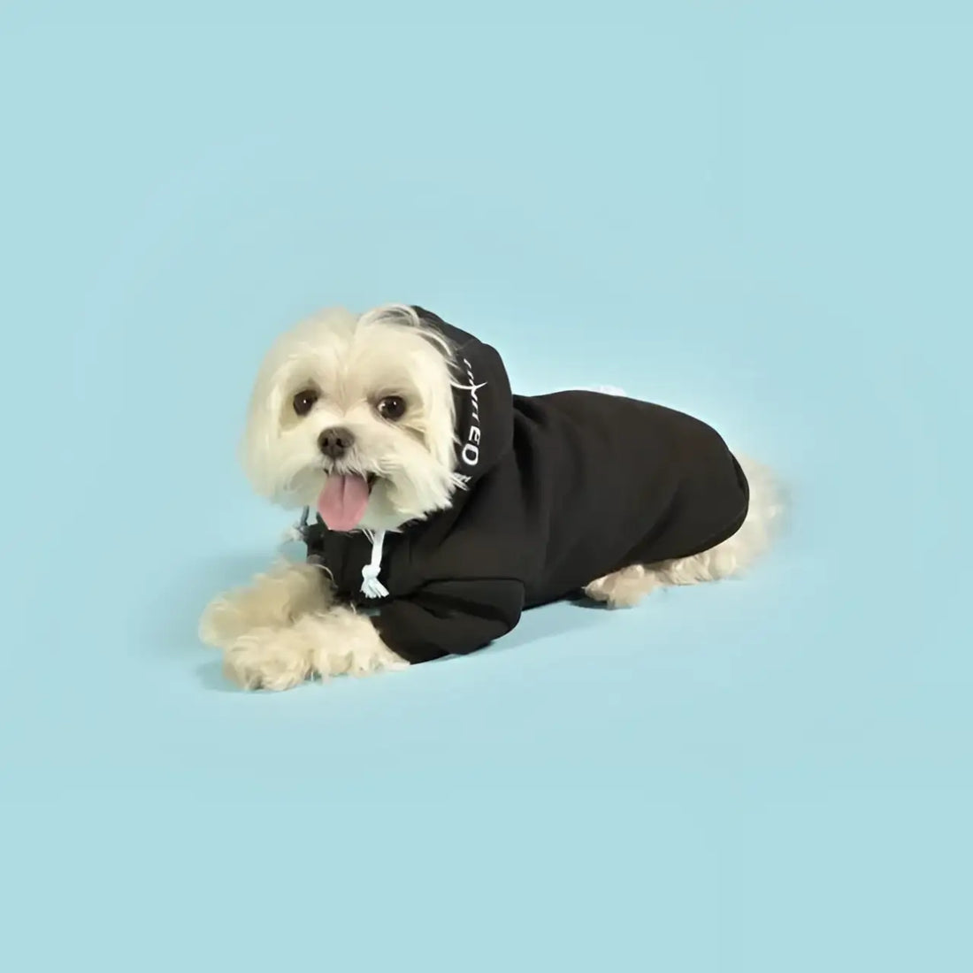 United Pets - Felpa Bull con cappuccio Nera e Azzurra