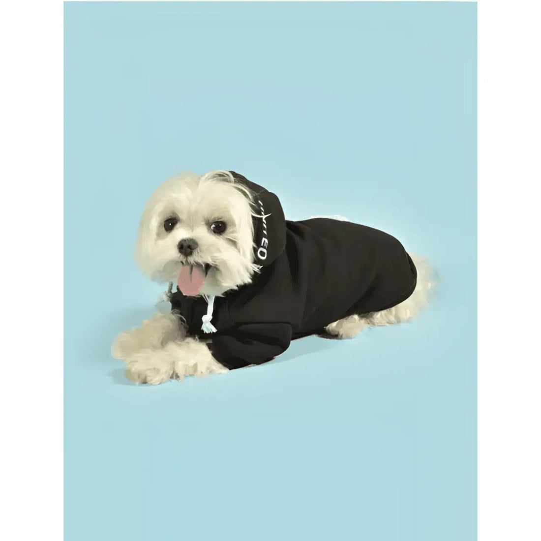 United Pets - Felpa Bull con cappuccio Verde