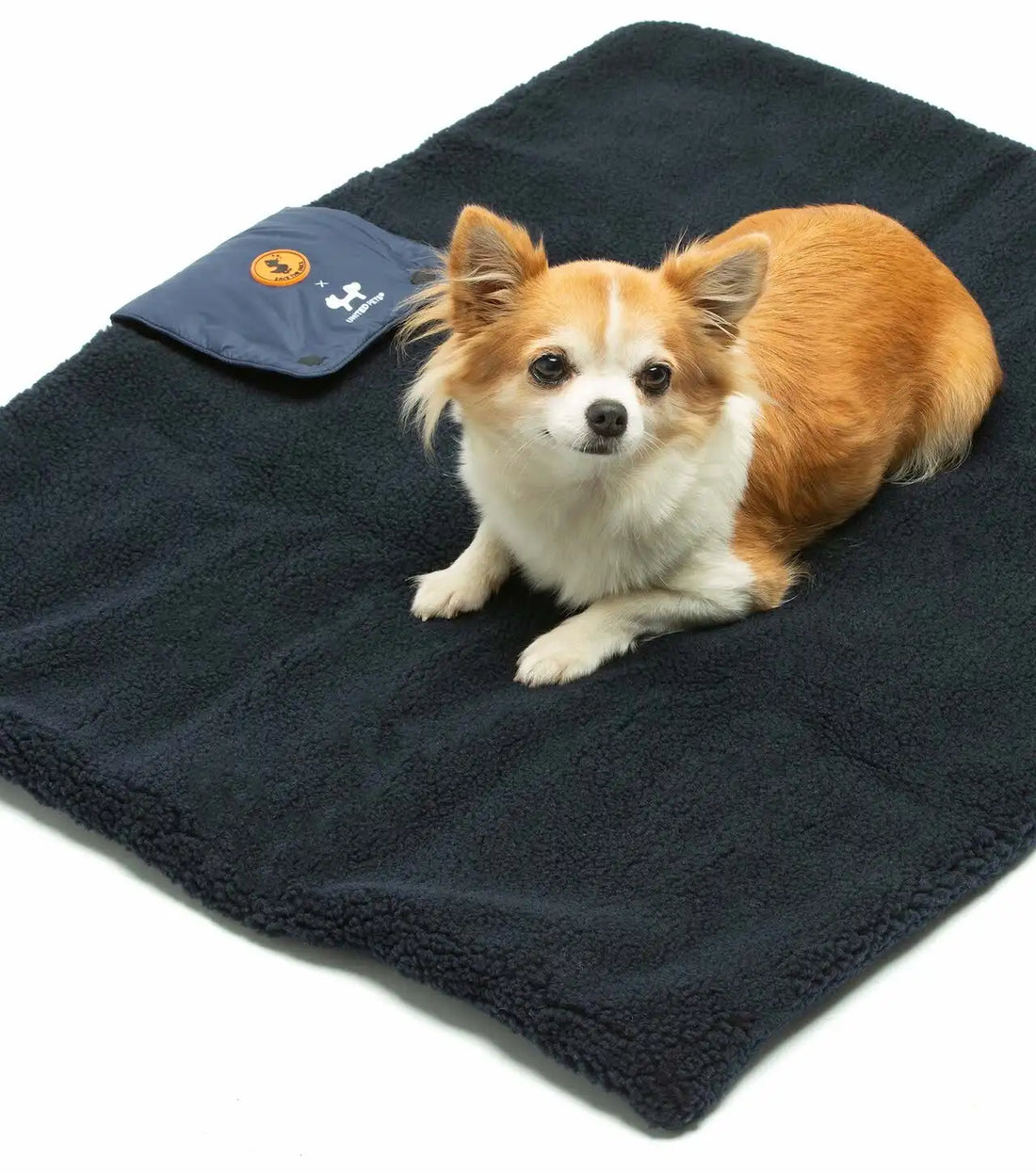 Save the Duck - Stuoia portatile imbottita per cani