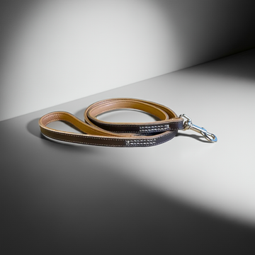 Pet Boutique - Elegant Guinzaglio in cuoio